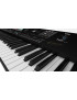 KORG PA5X OR-61