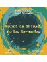 MUSICA EN EL FONDO DE LAS BERMUDAS