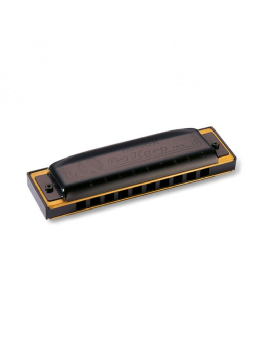 Armónica Hohner Pro Harp 20V 562/20 (F)