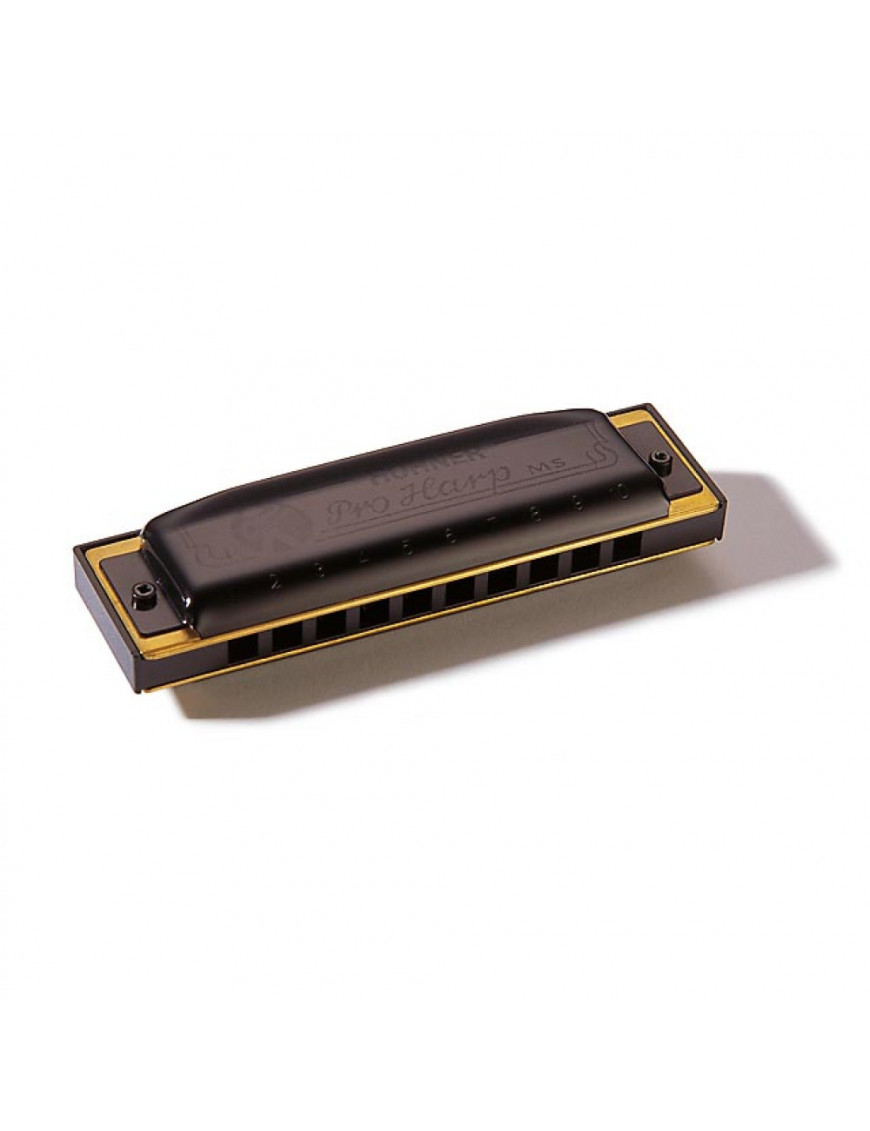 Armónica Hohner Pro Harp 20V 562/20 (Eb)