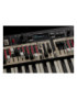 NORD ORGAN 3
